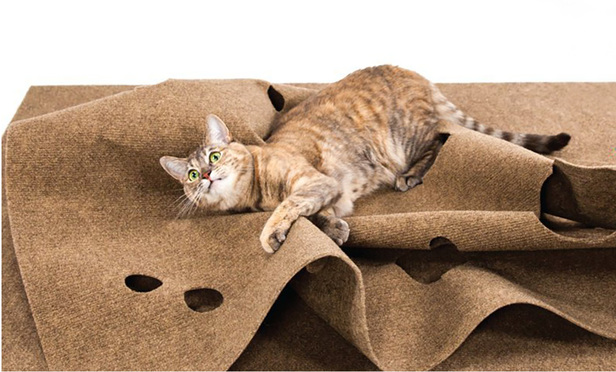 cat toy rug