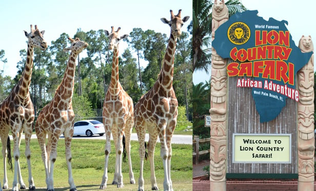 Best Zoos in the US to Visit All Sorts of Animals